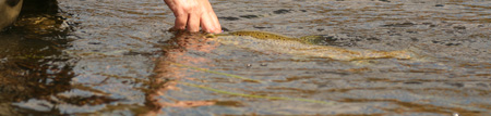 Fly fishing Tasmania Fly Fishing Tasmania