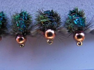 A brace of Black and Peacock spiders