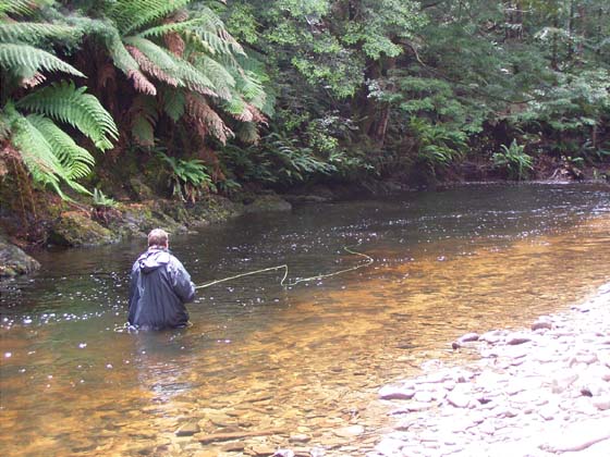 Images Of Fisheries. Fly Fishing Fisheries in