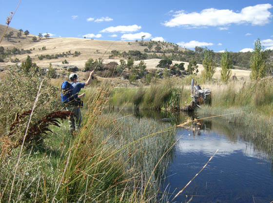 Fly Fishing Fisheries Tasmania