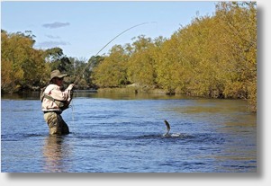 is-river-fly-fishing-web.jpg