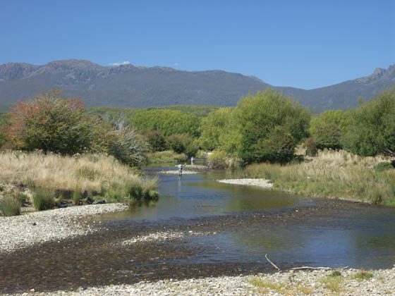 Riverfly Fly Fishing Instruction