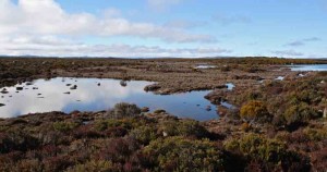 Western Lakes backwater, Tasmania