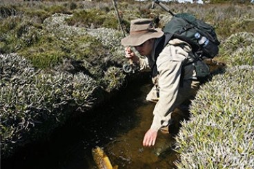 Fly Fishing Around Cradle Mountain