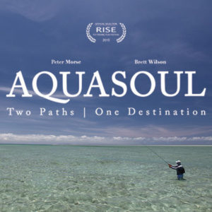 Aquasoul - Two Paths, One Destination