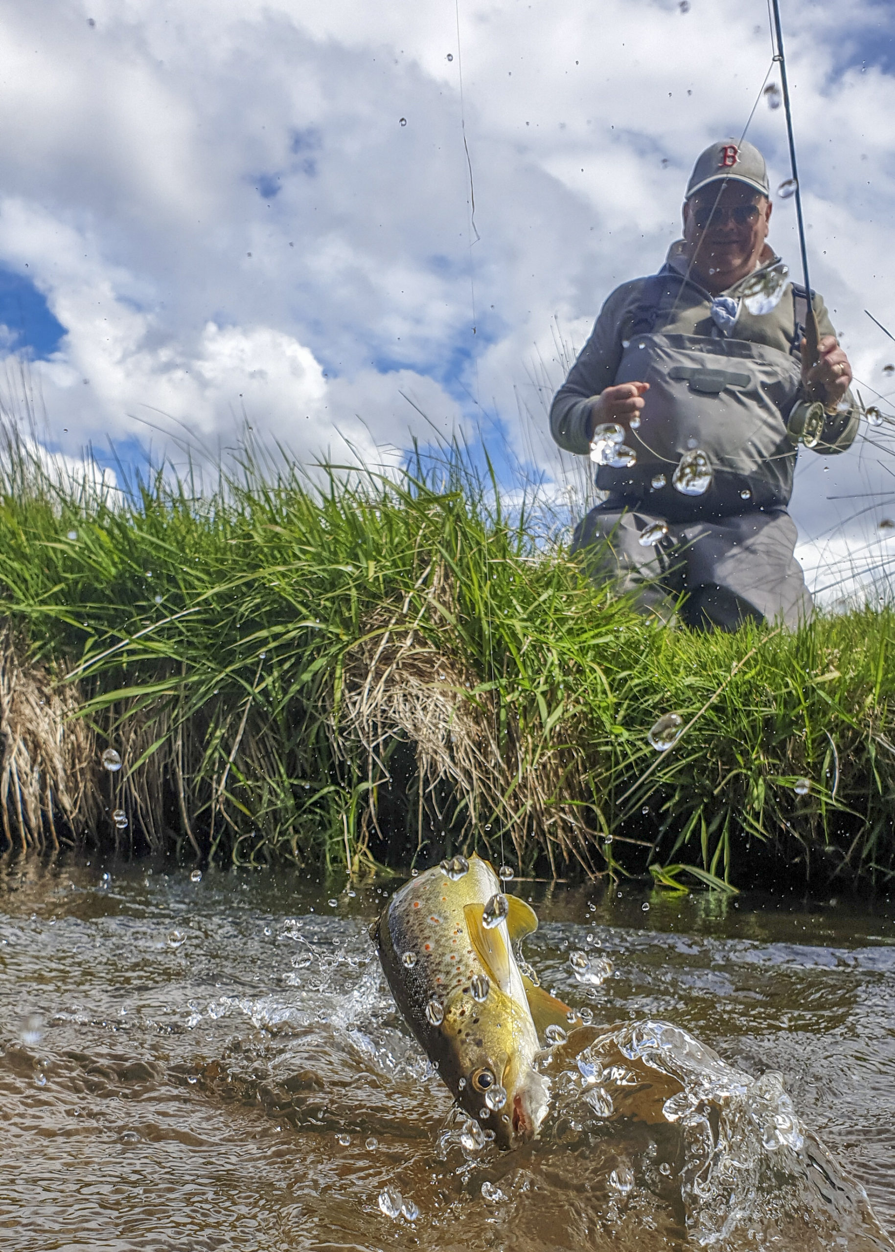 Fly Fishing Tasmania Hatch Chart 11 January 2020 RiverFly 1864