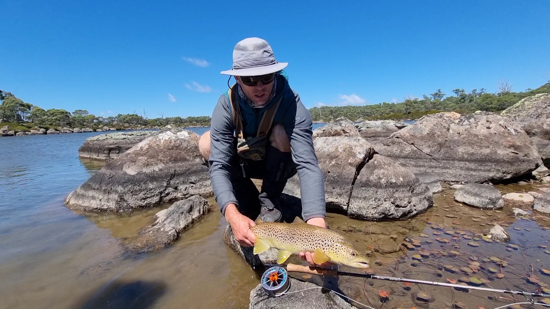 Damsel flies - RiverFly 1864 - river and wilderness fly fishing