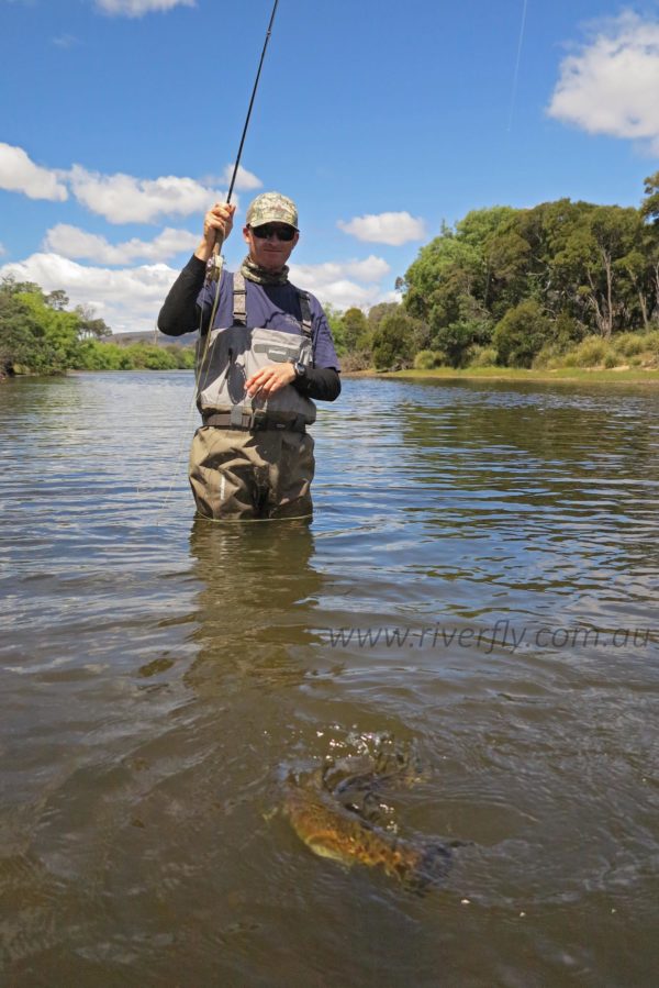 Fly Fishing Tasmania report