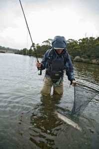 Western Lakes Tasmania, early season
