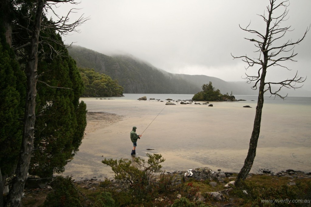 Deep in the Tasmanian wilderness, searching the flats for wild rainbows.