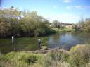 A favourite dry fly stream