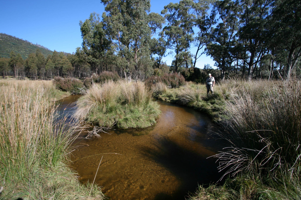 Secret creek fly fishing Tasmania