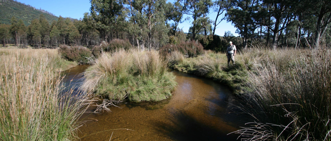Secret creek fly fishing Tasmania