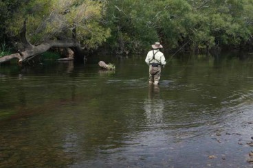 Fly Fishing Around Launceston